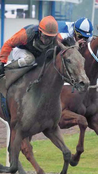 SABIS TIS: --- LD- Bankod - gr Ca kl. ARQANA SWEDISH OEN MILE (L). kr.-.-.- m.-. Hederspris till segrande hästens ägare. Minnespris till segrande hästens tränare och ryttare.