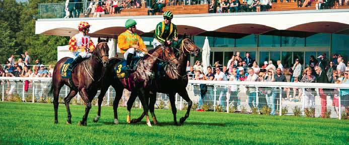 TÄVLINGSDAGAR AUGUSTI onsdag Lunchgalopp onsdag Lunchgalopp SETEMBER tisdag WESTERNDAG tisdag FESTIVAL OF SWEDISH RACING - sept fredag BREEDERS-DAGEN lördag AUKTION, HAY TAMMSVIK söndag STOCKHOLM CU