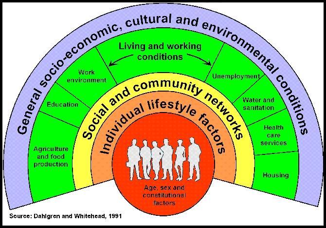 The main determinants of