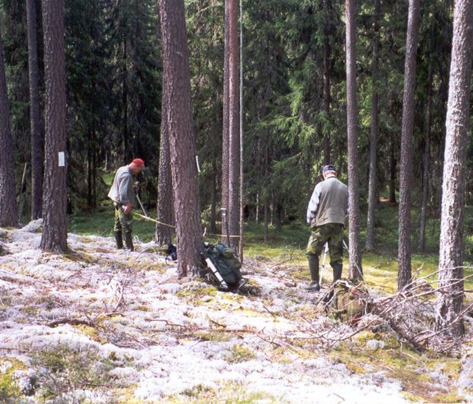 Risksskogstaxering och markinventering används för LULUCFrapportering Permanenta rutor Sedan 1923 30 000