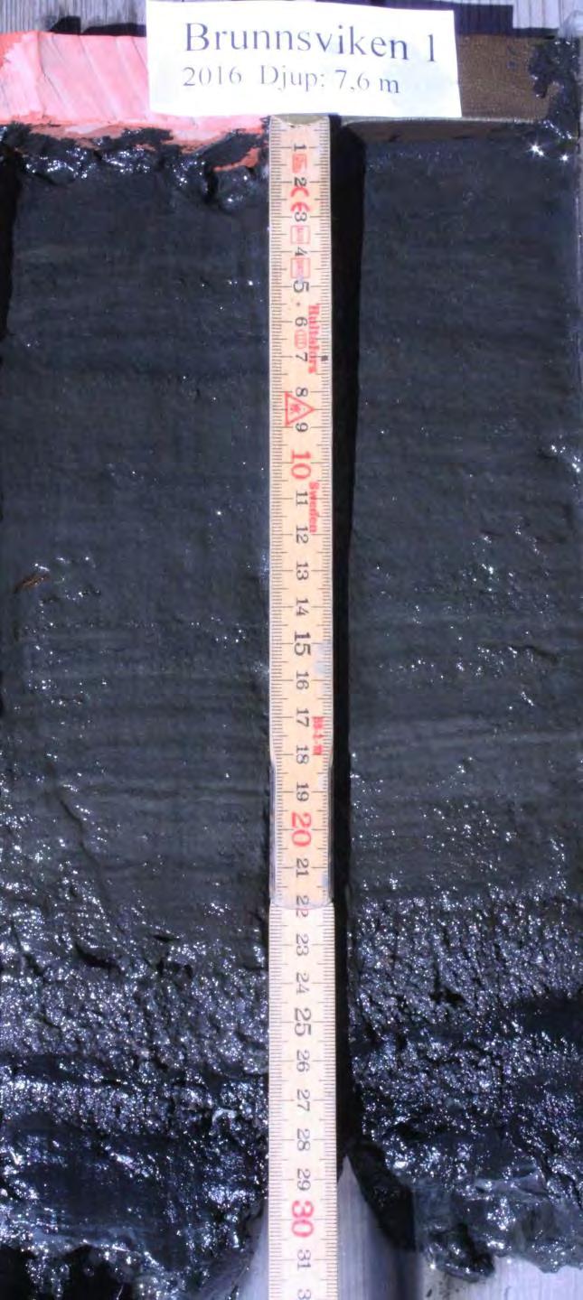 SEDIMENT Stn B1 Provtagningsdag: Måndag 2016-06-20 Lat 6584655.304 Long 151127.