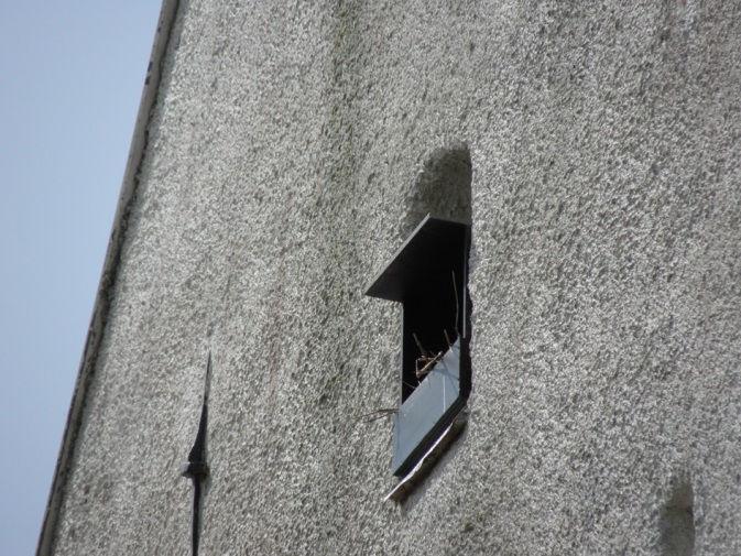 Kalkvägglav är en ovanlig typ och växer på murens grund. Håligheter i träd ger förutsättningar för insekter. Holkar i kyrkans torn är tänkta att gynna hotad tornfalk.