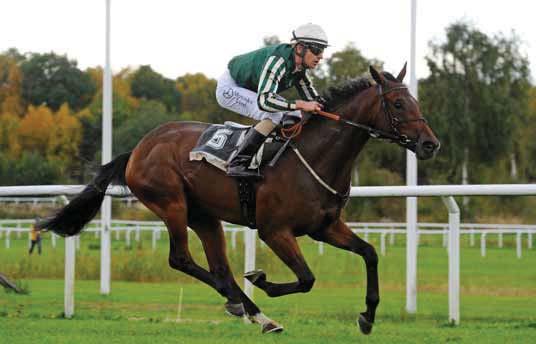 Bro Park Classic Freestyler Delacroix före Spicy Mix och Danny K Steinway var tvåa i ovan nämnda Consolation och sedan trea i Breeders Classic Trial vilket gör att han måste tas på största allvar.