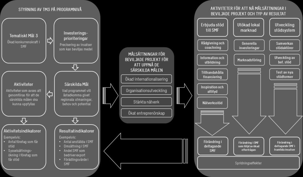 Analysen visade att projekten syftar till att uppnå något av följande fyra mål; ökad internationalisering, organisationsutveckling, stärkta nätverk eller ökat entreprenörskap.