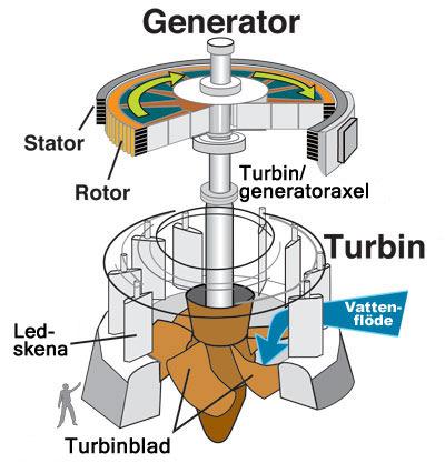 2 Teori Figur 1: En Kaplan-turbin där vattnet går igenom ledskenorna och mot turbinbladen som får generatoraxen att rotera, som sedan alstrar ström.