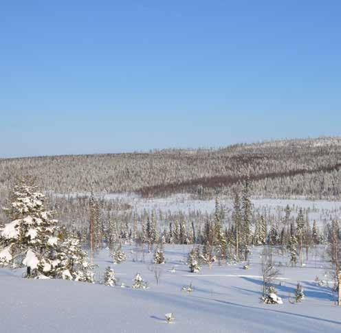 TAXERINGSVÄRDE Typkod 110 (bebyggd lantbruksenhet), taxeringsvärde år 2011 Skogsmark