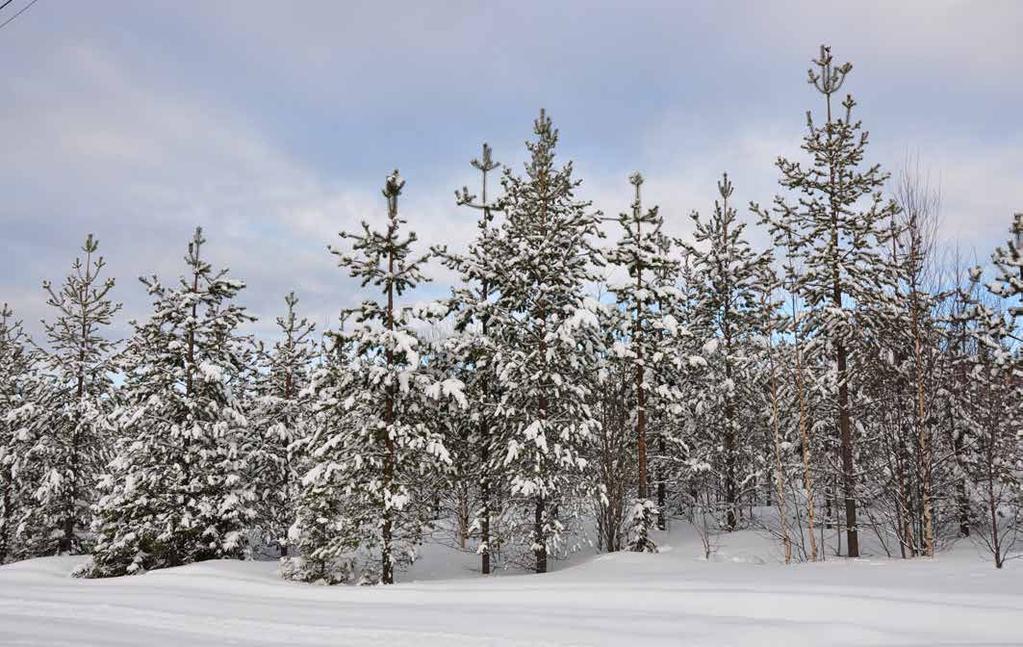 SKOG OCH MARK ÅKER- OCH BETESMARK Det finns 2,2 ha inägomark på Fastigheten.