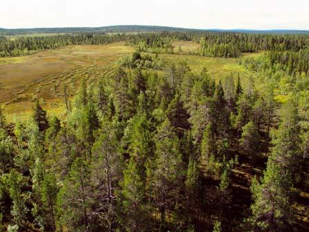 4010 Vuosuvaara Kommun Kiruna Naturvårdsverkets rapport 5345 Indelad produktiv skogsmark (ha) Nedan Ovan Totalt Totalareal (ha) Ursprunglig avgränsning i NV rapport 104 0 105 742 Avgränsning efter