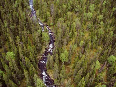 3920 Veddekbäcken Kommun Arjeplog Naturvårdsverkets rapport 5344 Indelad produktiv skogsmark (ha) Nedan Ovan Totalt Totalareal (ha) Ursprunglig avgränsning i NV rapport 3 53 57 312 Avgränsning efter