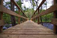 Brearedssjön runt GUL 4,2 km Här går vandringsleden runt Brearedsjön, på den ena sidan i vacker bokskog och på den andra längs den nerlagda järnvägen, Bolmenbanan.