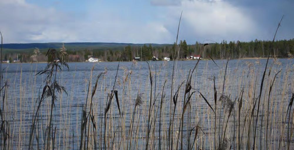 METOD Definition av landsbygd och landbygdsutveckling Det finns i dag inte en utan flera vedertagna definitioner av vad som menas med landsbygd.