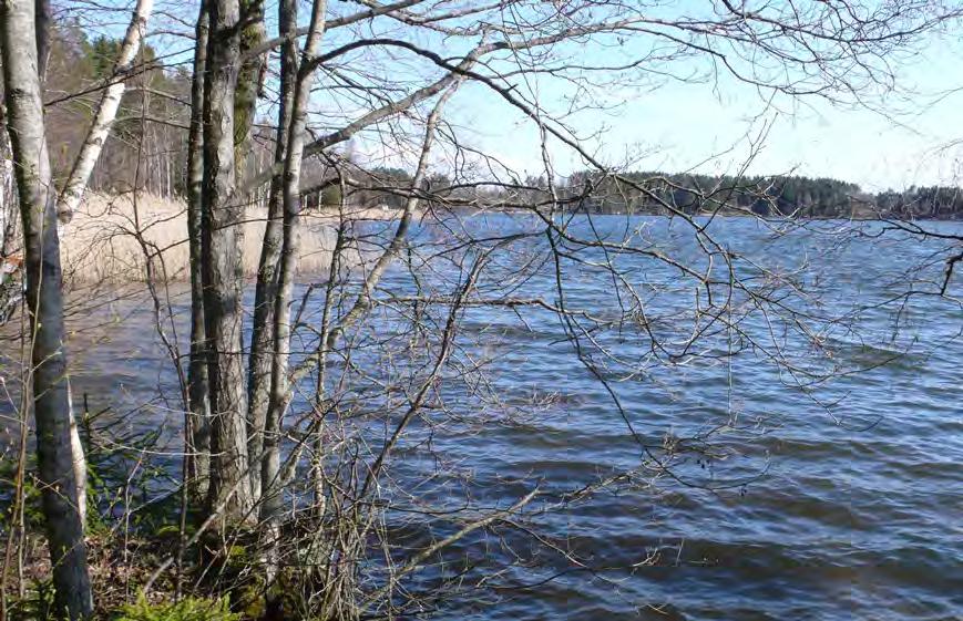 BESKRIVNING AV UTPEKADE LIS-OMRÅDEN Planförslaget omfattar 25 LIS-områden kring tio sjöar och vattendrag.