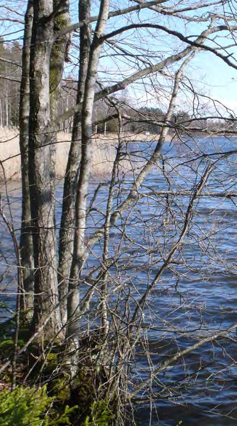bebyggelsen, närheten till väg 62 vad gäller buller,