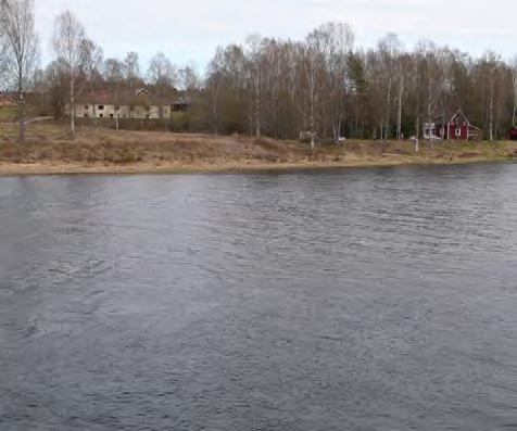 närhet till vägarna 733 och 801 vad gäller buller,