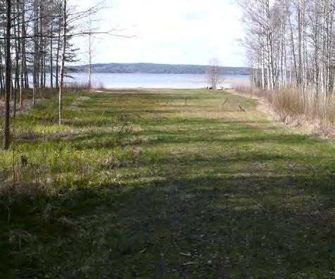 79