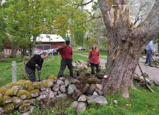 bygdsprogrammet. Målet för all kompetensutveckling i Västra Götalands län är att den ska ge kunskap som är till nytta för företagen och kan bidra till samhällsutvecklingen.