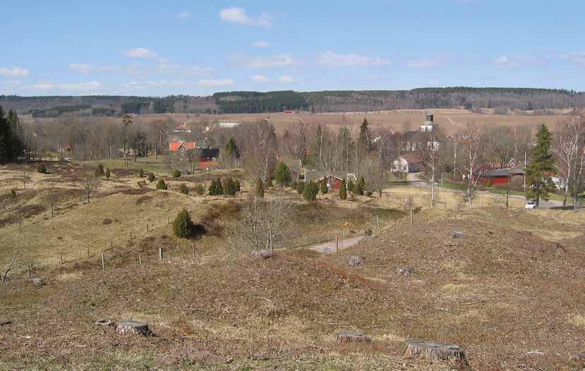 Dimbo höggravfält från järnåldern med byn i bakgrunden. stensättningar, en treudd, två domarringar och åtta resta stenar, alla sannolikt från järnåldern.