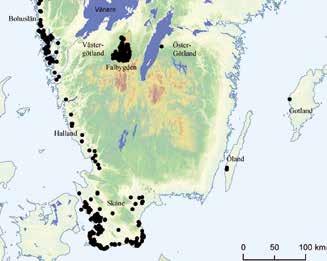 serie inventeringar och undersökningar av boplatser och gånggrifter under slutet av 1980-talet och 1990-talet täpptes flera av dessa kunskapsluckor till.