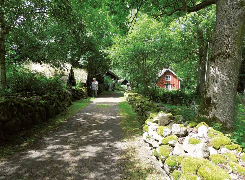 Tågatan. Foto Lea Stroh vi delat upp arbetet i mindre ansvarsområden, är det inte svårt att få medlemmarna att hjälpa till, man behöver inte vara rädd att helt uppslukas av arbete inom föreningen.