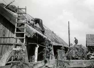 Tidig 1900-talsbild av Heljesgården. Fotograf Anders Karlsson. Västergötlands museums bildarkiv Vasstaksläggning på ladugården.