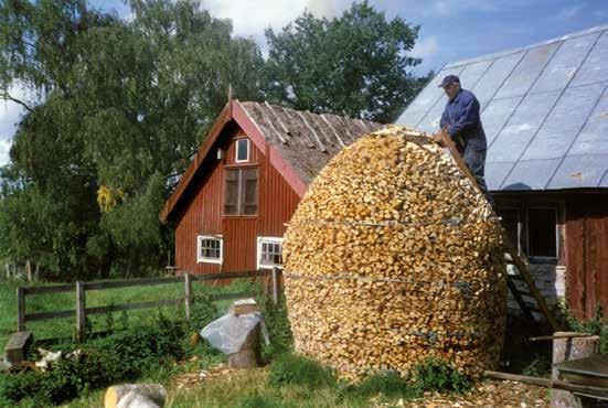 Lars lägger vehäs (vedhässja).