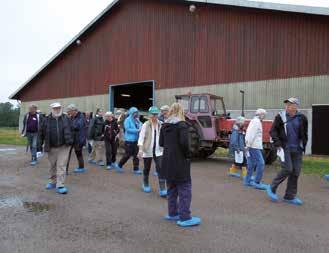 Storskalig mjölkproduktion med miljöhänsyn Av Jan Lundegrén Den 28 juni 2014 besökte NKF Kårtorps Säteri, ett modernt storskaligt jordbruksföretag med ekologisk mjölkproduktion som huvudinriktning.