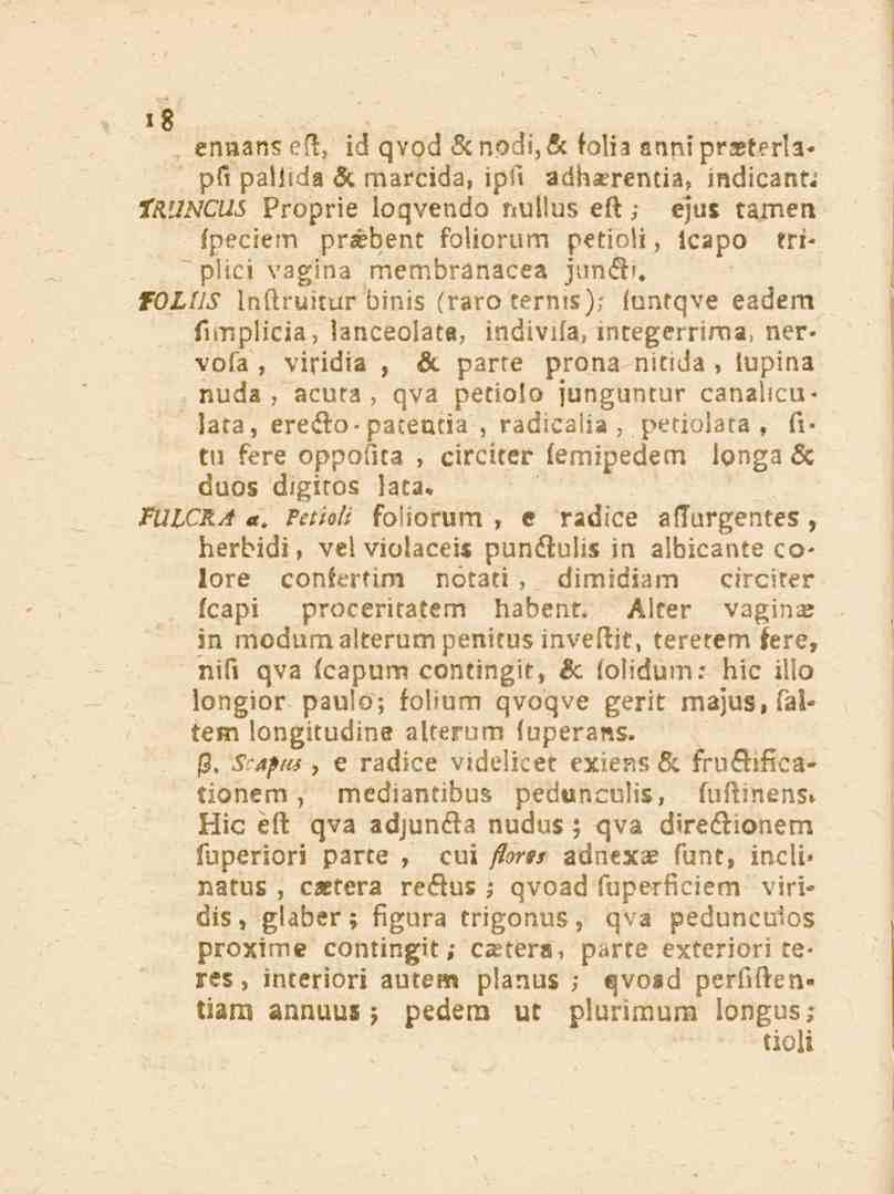 18 ennans eft. id qvod &nodi,& loli, annipr-eterla* pf, paibda & marcida, ipft adbirrentia, mdicant; fruncus Proprie loqvendo nullus el.