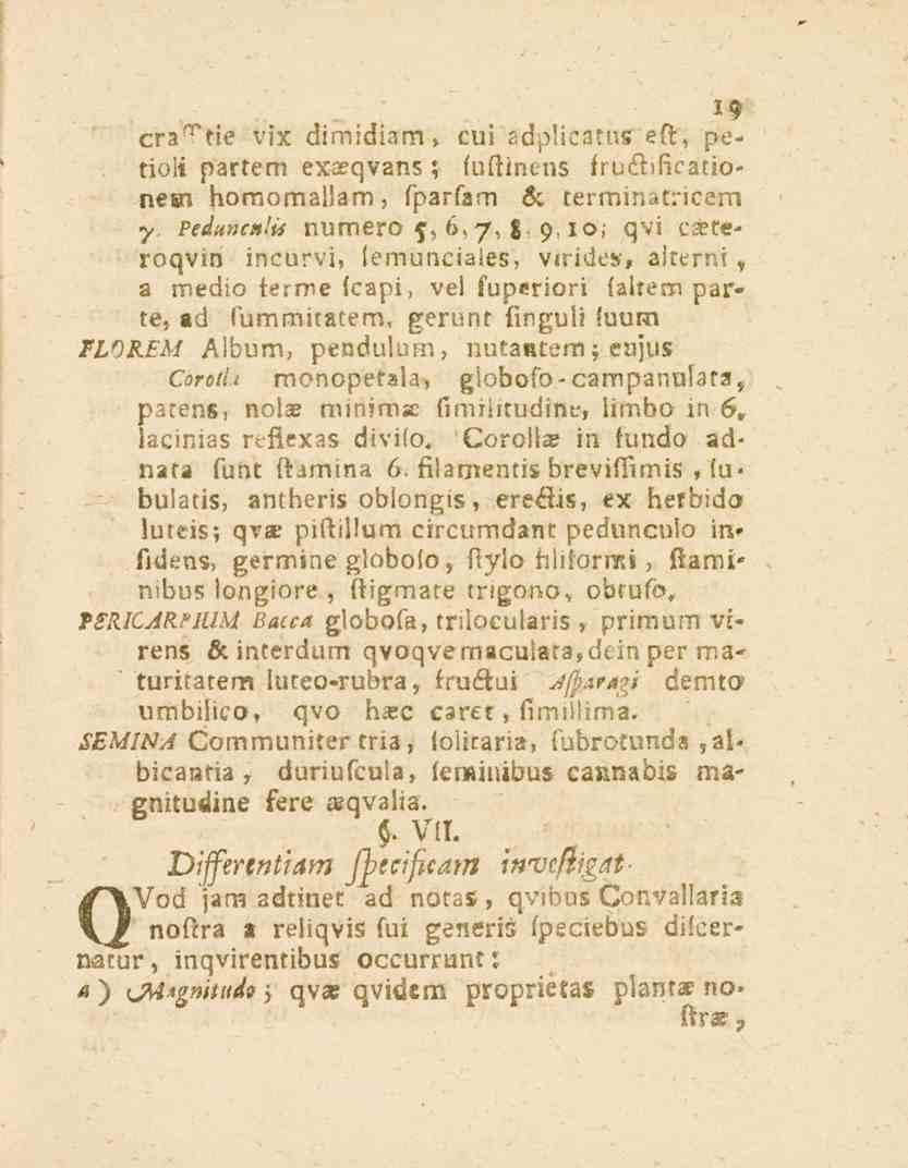 19 cra^tie vix dimidiam, cvi adplicatns eft, pe^ tio!» parten, exoeqvans; (aftinens b uéhficationem homomaliam, fparfam s: terminatricem y Peduncnlis numero s, 6.