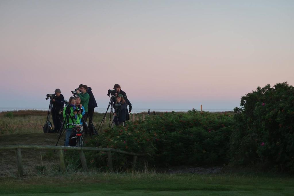 Program hösten 2017 September Exkursion till Falsterbo. Fredag-söndag 8-10 september 2017.