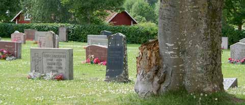 Begravningsplatserna skall vårdas och underhållas så att deras kulturhistoriska värde inte minskas eller förvanskas. (kulturminneslagen 4:e kapitlet 11 ). Hur ska jag vårda gravstenen?