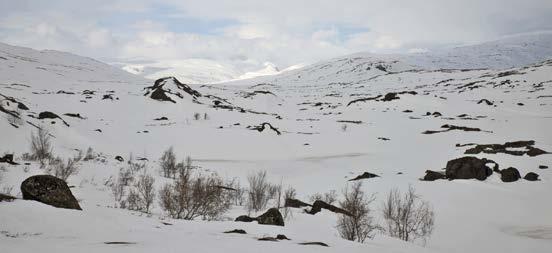 Figur 8 Miljömålsmyndigheterna efterfrågar schablonvärden för många slags miljö- och hälsoeffekter.