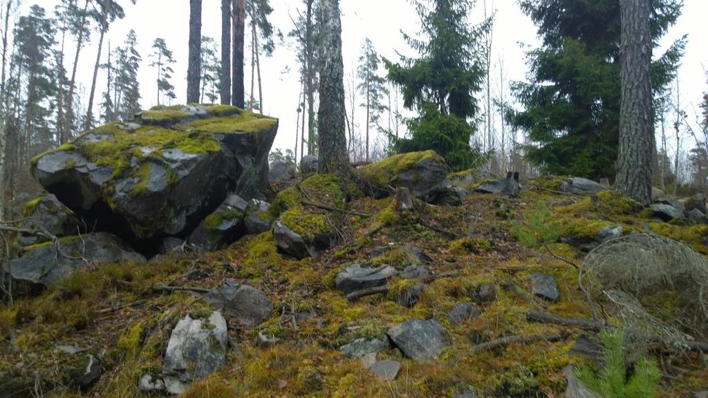 gravar och avtorvning av röseliknande lämningar med grävmaskin föreslås.