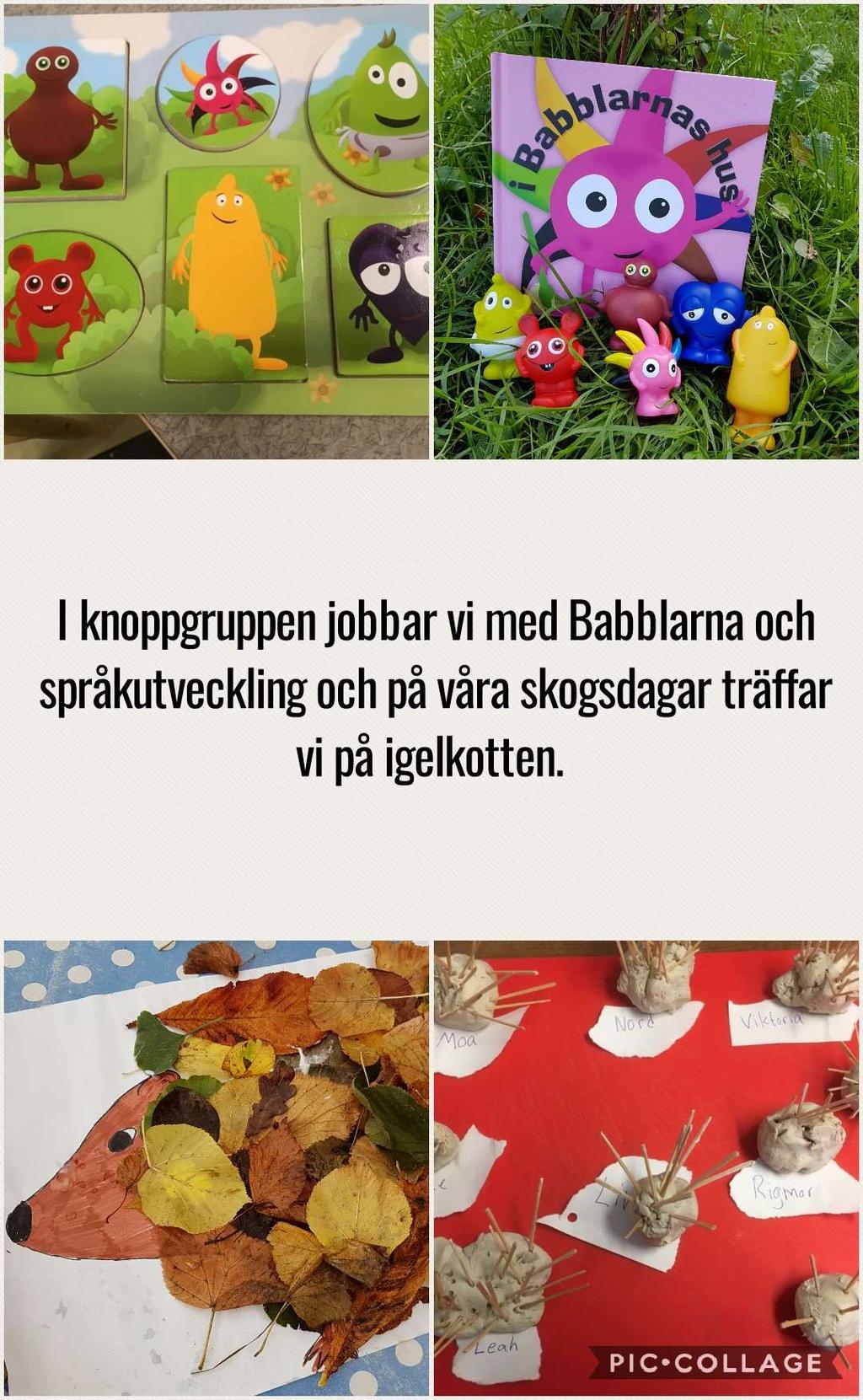 Skabersjö!