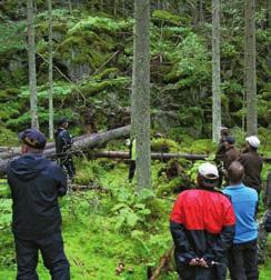 Metsä Group utbildar skogsexperter årligen för att säkerställa ett uppdaterat kunnande inom naturvård.