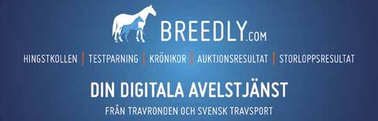 PONNYLOPP GUL start.00 OBS! INGET SPEL I DETTA LOPP VI SKAPA VINNAE! Kategori B, körda av - eller D-lisinnehavare. 0 m. Tillägg Speialarn.,0 Prispoäng:.000-00-0-0-0-(00).