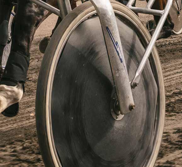 Pgarna flyttas över till nästa vekas rättspott. DAGENS DUBBEL avgörs i de två avstande V-avdelningarna oh går ut på att hitta vinnarna i två särskilda lopp. Du vinner om du har rätt häst i åda lopp.