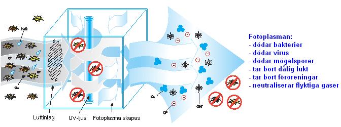 Funktion Så här fungerar BioZone luftrenare. Luft som passerar inuti en enhet exponeras för intensivt bakteriedödande UV-ljus som bryter ner organiska föroreningar.