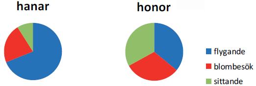 Hanar Honor Flygande Blombesök Figur 4. Hanarnas och honornas aktivitet. Data från samtliga observationer 2003-2009 (N = 603 hanar och 397 honor).