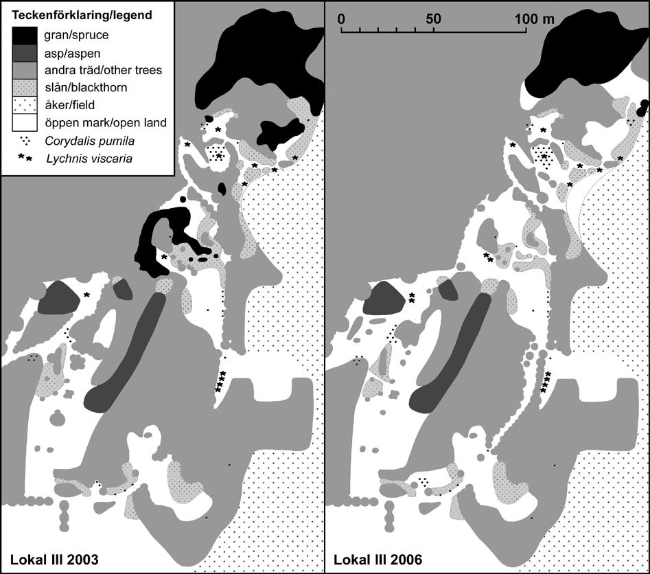 Figur 13. Lokal 32 före restaureringsinsatser (2003) och efter (2006). Figur från Brattström mfl. (2007). Under vintern (januari-mars) 2009 utfördes mer omfattande röjningar på flera lokaler.