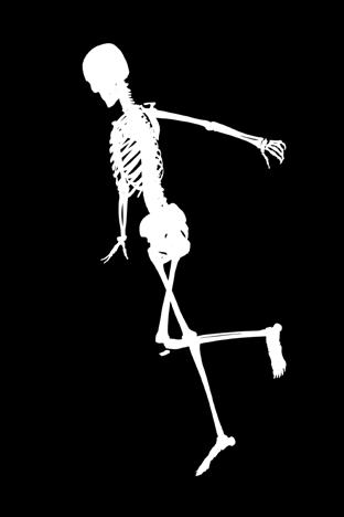 Skelettjakt Skelettet Åke har tappat bort sina ben. Hjälp honom att hitta dem genom att lösa några kluriga gåtor.