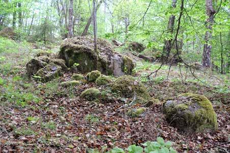 Figur 8. Hägnaden (objekt 1000032).