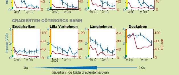 av TBT och imposexmed tiden.