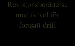 H2: Stora byråer har utfärdat större andel varningar för tvivel om fortsatt drift än små byråer.