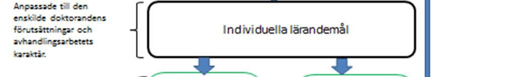 Högskoleförordningen Högskoleförordningen (HF) talar om utbildning på forskarnivå på ett sätt som för tankarna till utbildning på grund- och avancerad nivå.