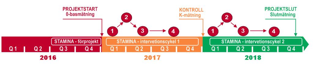 ÅRSCYKELN I STAMINA STAMINA-modellens årscykel består av fyra återkommande insatser: 1.