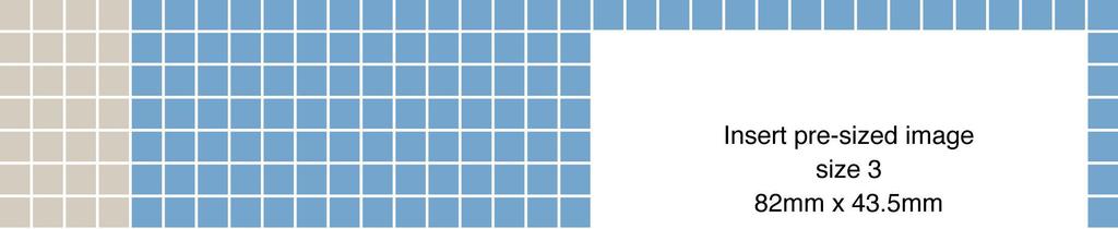 RAPPORT