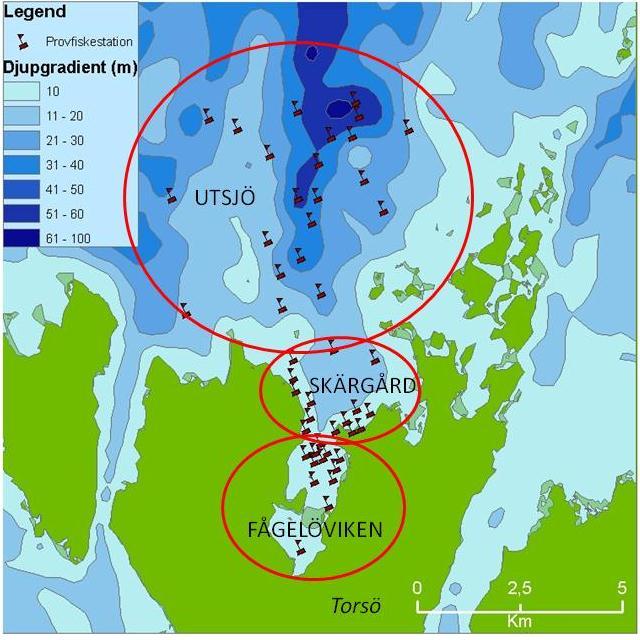 Figur 4. Provfiskeområdet norr om Torsö. Provfiskestationerna är från 2010.