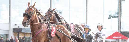 e Goetmls Wood - : --, : --, Tot: -- Vouge e Firm Triute Eriksson / -k / k, g - - gdk Uppf: Lejon ohn, Veeröd Untersteiner P / - / d g x Äg: Lejon ohn, Veeröd Smlsson O / -k / k, - - gdk Svrt,