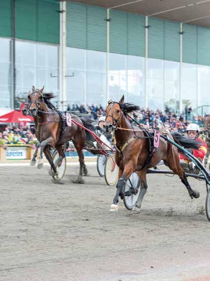 Hel kväll jöd på härlig re oh lnd mång ndr goditr så gläds i ll fll jg extr myket över tre hemmsegrr, Exeutive vir okim Lövgr i Breeders oursefinl, Thoms Uhrerg pide HÅLLTIDE.
