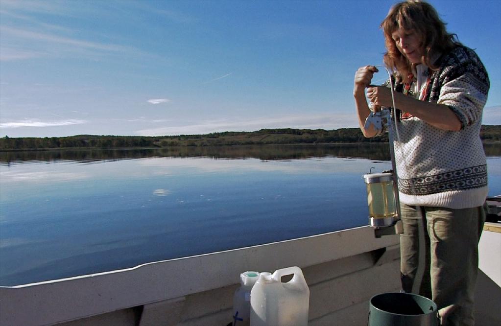 Djurplankton Ett blandat vattenprov på 5 liter insamlades mellan ytan och 2 meters djup. Provvattnet filtrerades sedan genom 45 µm planktonnät och koncentrerades till en volym av 9 ml.